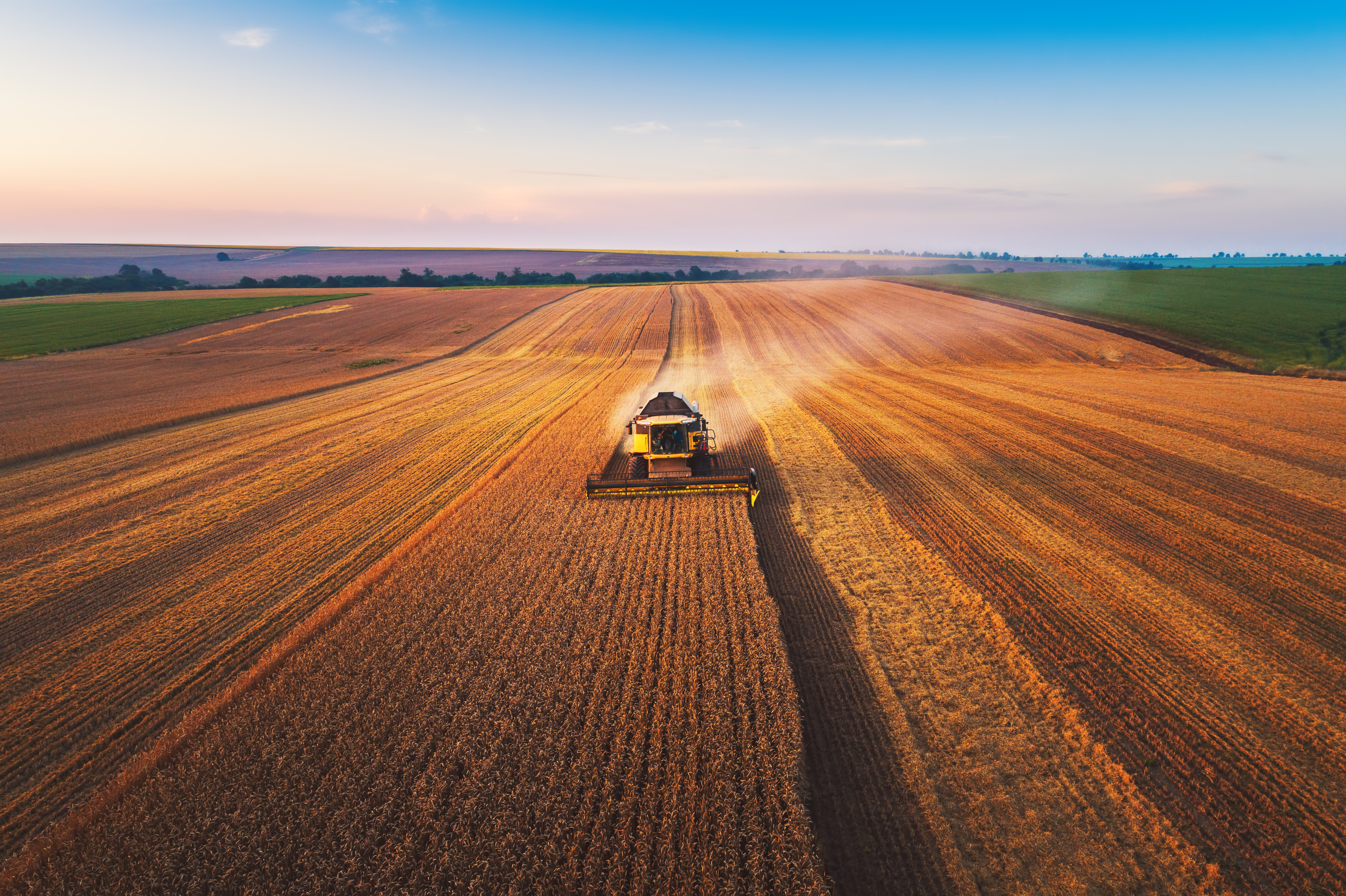 combine in a field harvesting