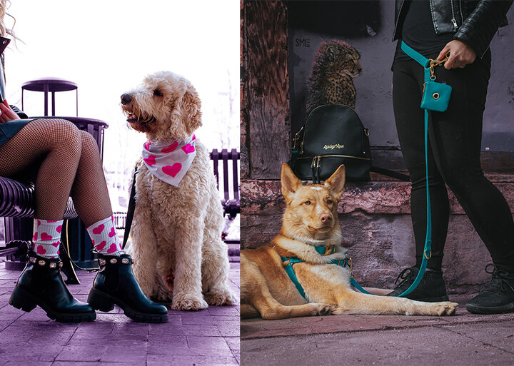 Dog Fashion
