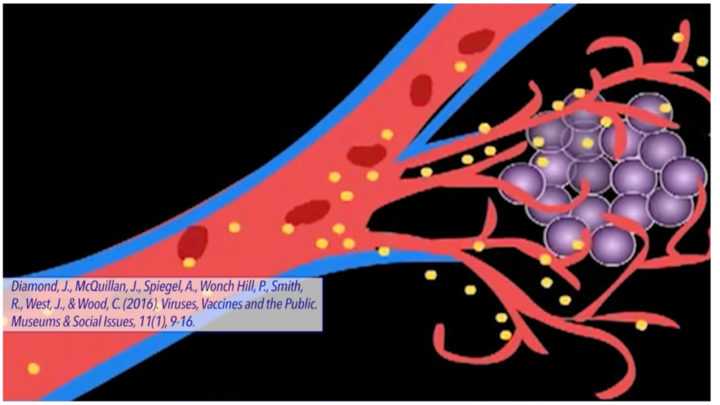 A drawing of a virus entering the human bloodstream