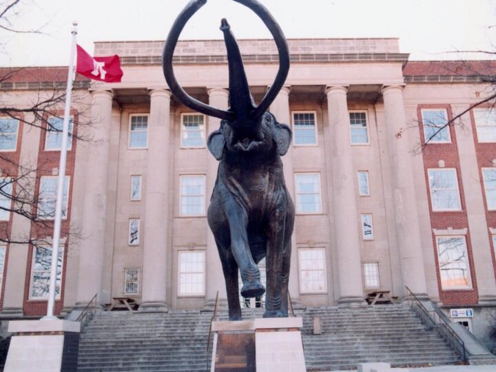 A sculpture of a mammoth in front of the Nebraska Natural History Museum at the University of Nebraska-Lincoln