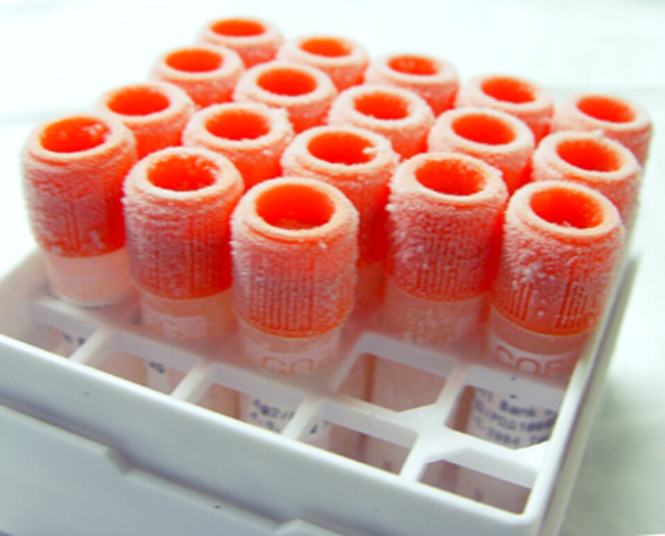 Orange cryogenic vials