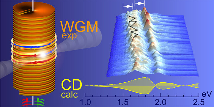 Whispering gallery modes in single nanowires