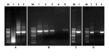 PCA, PCR, and Affinity Purification