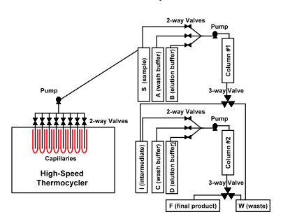 PCR product with labeled primers