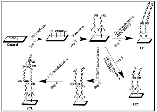 Platelet adsorption types