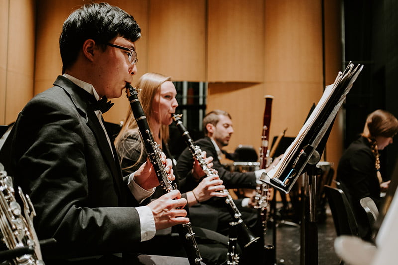 A row of musicians playing in a symphony.