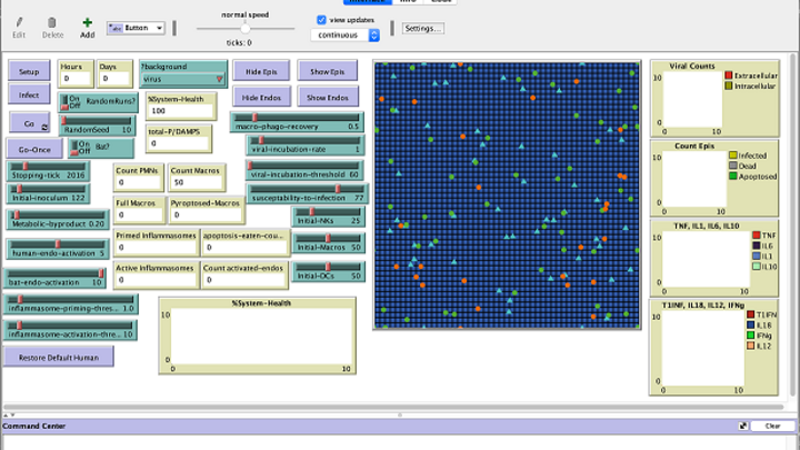 A screen capture of a computer program.