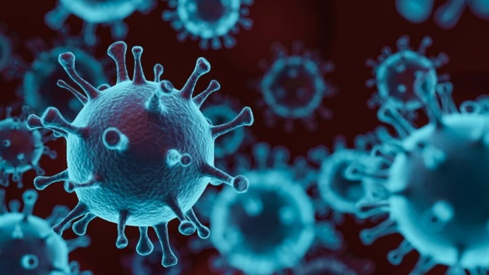 Multiple Covid-19 viruses.