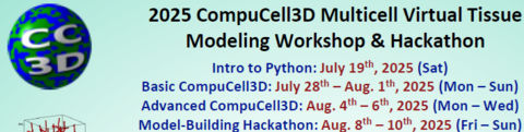 CC3D 2025 Workshop Banner 