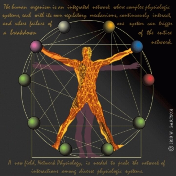 Network_physiology_logo