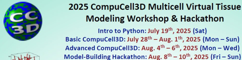 CC3D 2025 Workshop Banner