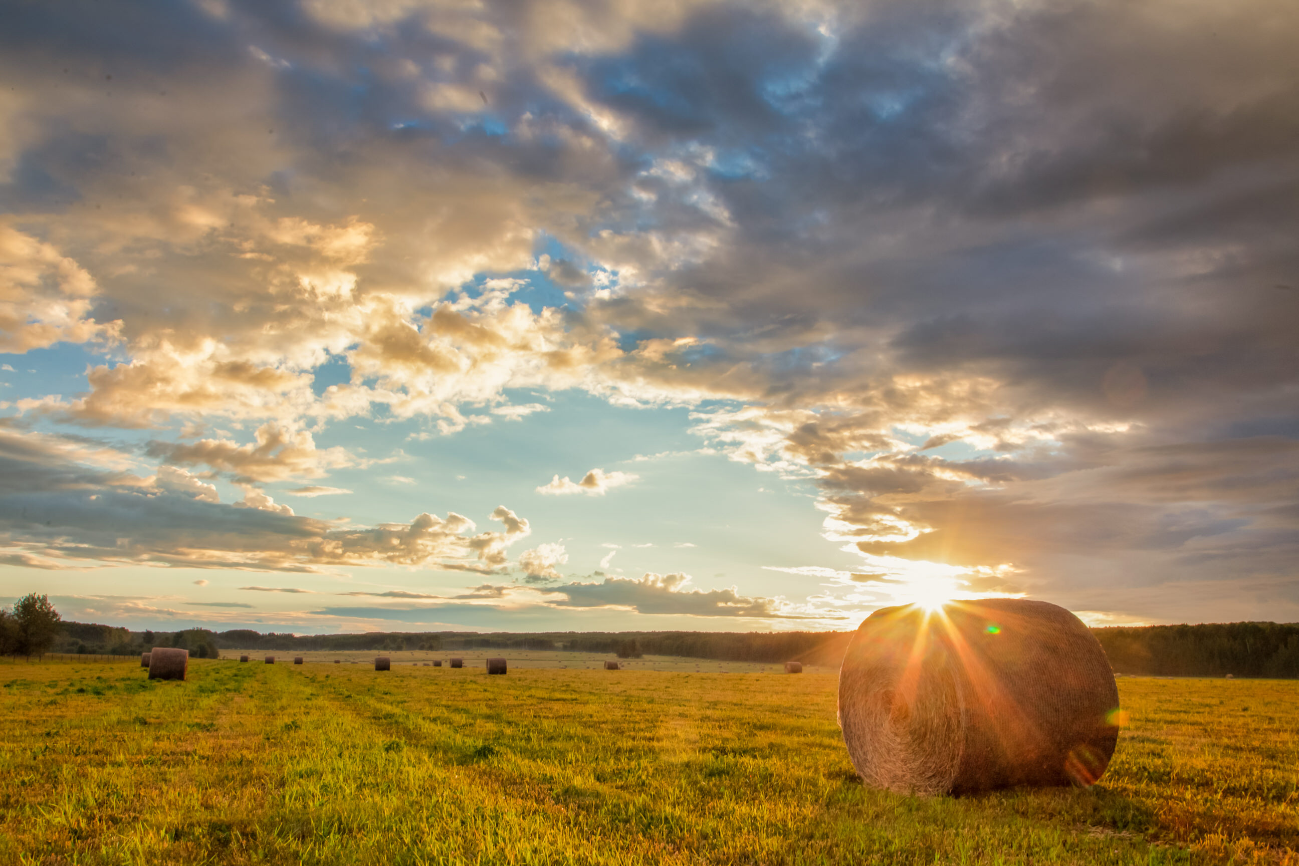 Hay Bales