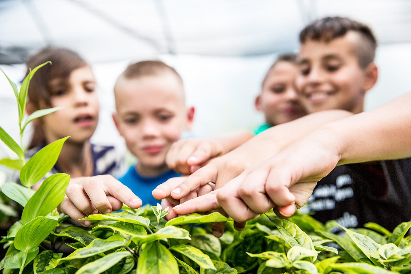 Nebraska 4-H