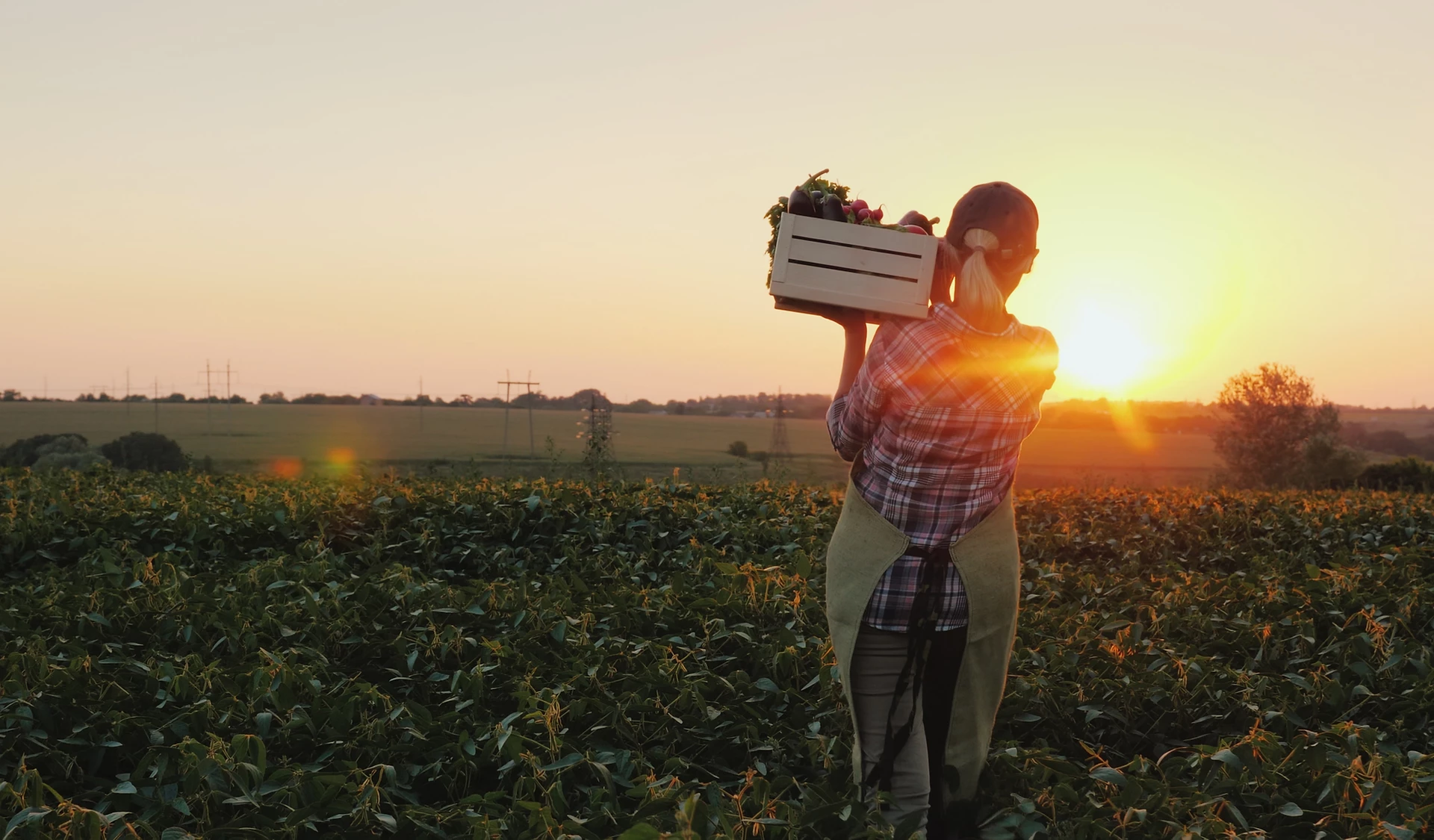 Farm Girl Fresh Market Photo