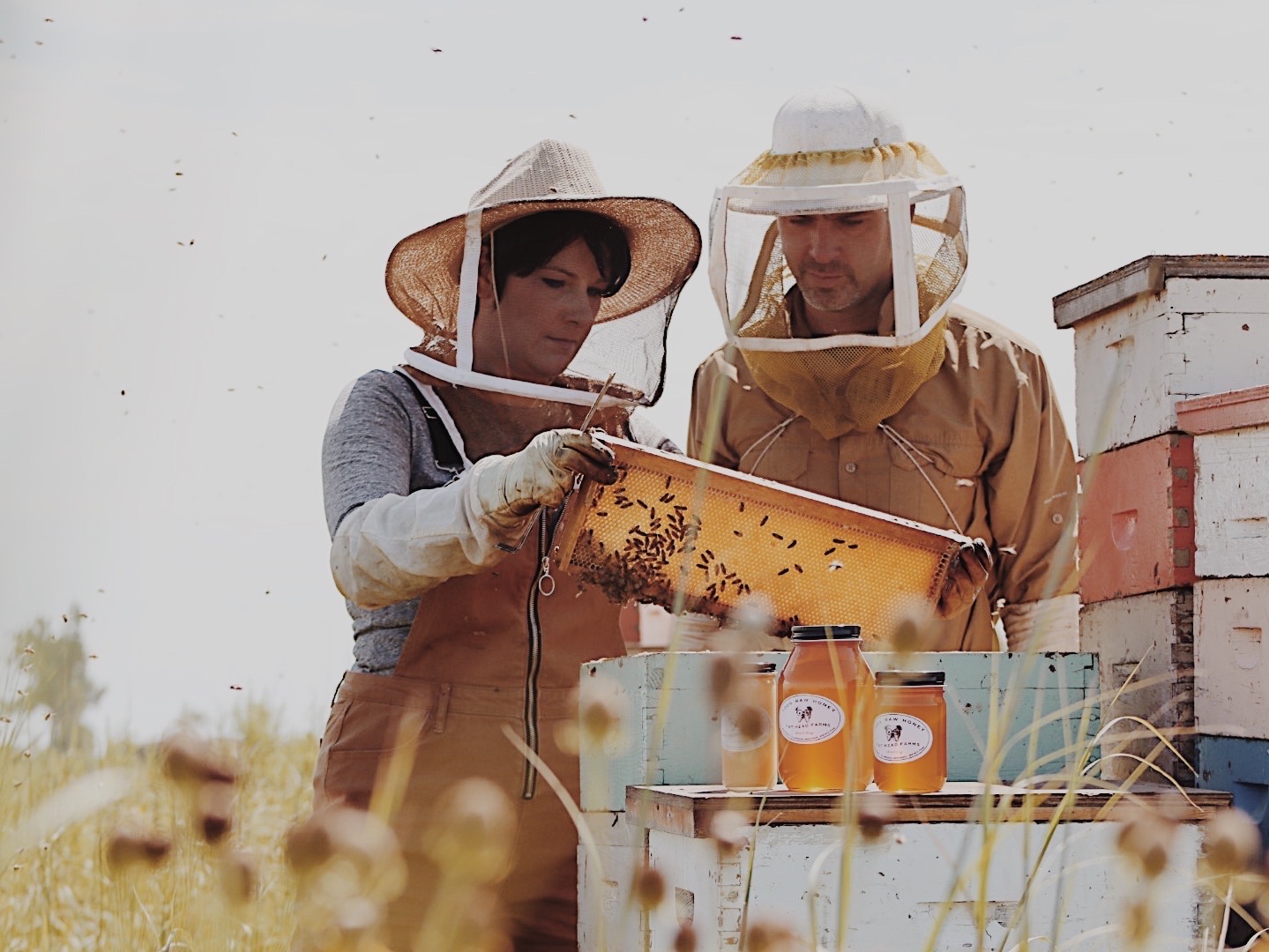 Fat Head Honey Farms Photo