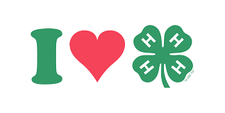 luv 4-h