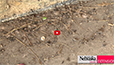 video clip image