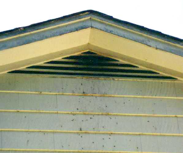 Smudges and rub marks on house indicating bat inhabitance