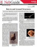 pdf-image