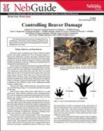 pdf-image
