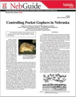 pdf-image