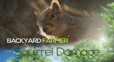 video clip image