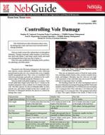 pdf-image