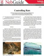 pdf-image