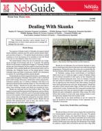pdf-image