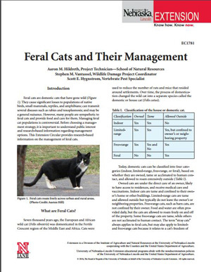 pdf-image