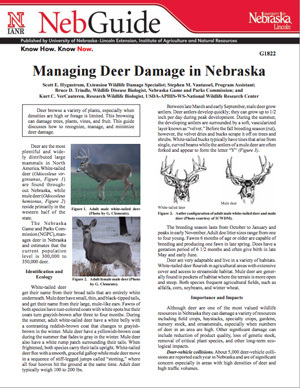 pdf-image