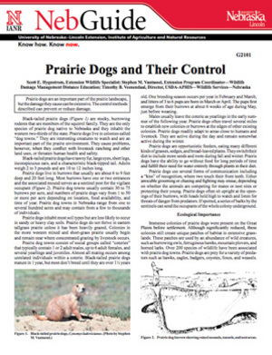 pdf-image