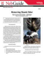 pdf-image