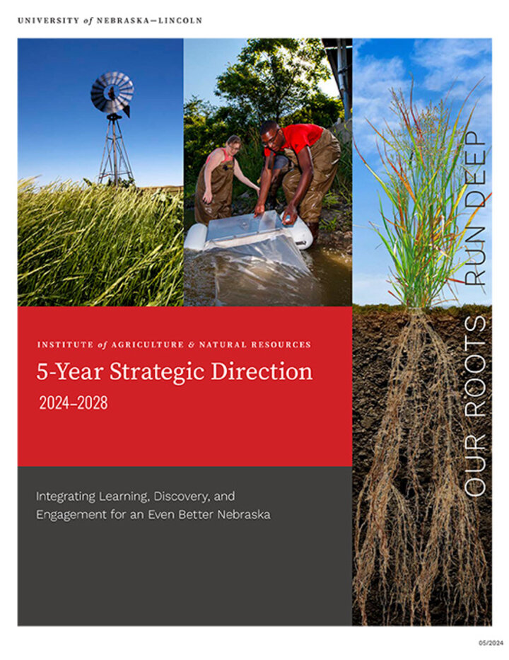 Strategic direction cover image