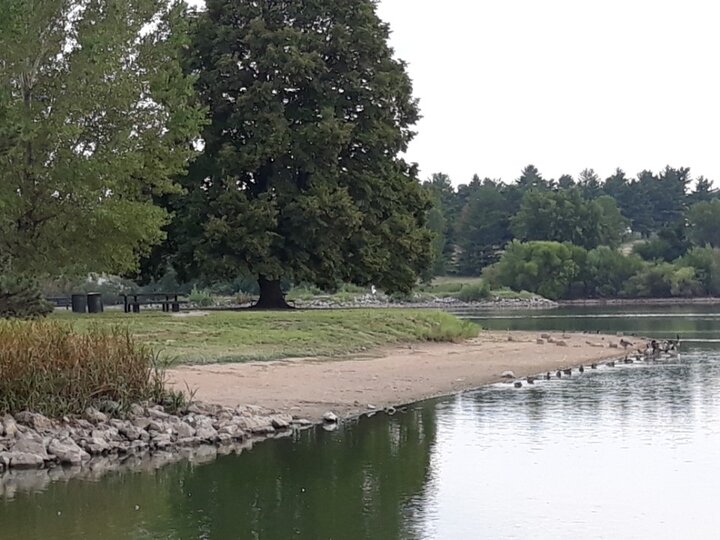 Receding shoreline at Holmes Lake in Lincoln, Nebraska