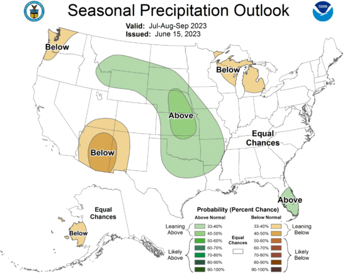 Seasonal precipitation outlook for the United States