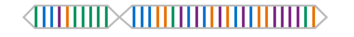 My 34 Gallup Strengths
