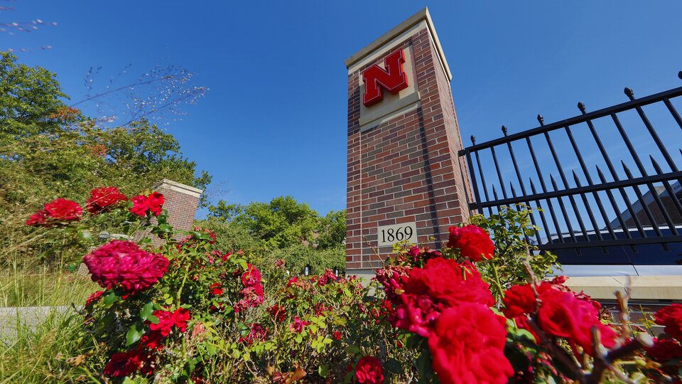 Flowers in front of a brick column with the N logo on it