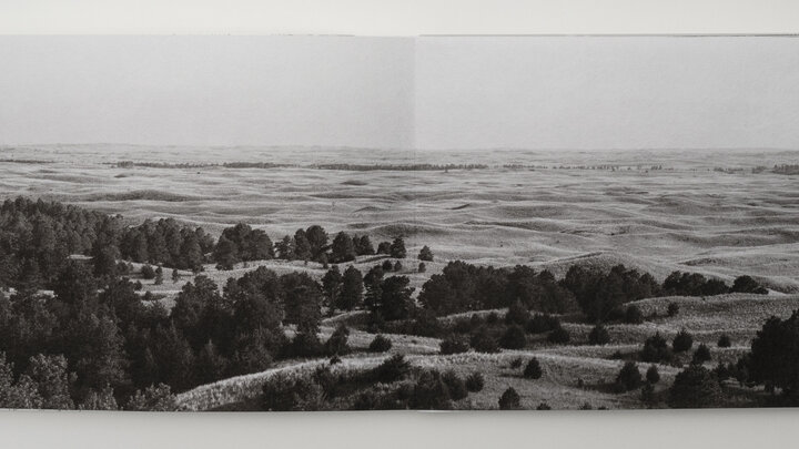 Dana Fritz, "Fire Tower View," from 