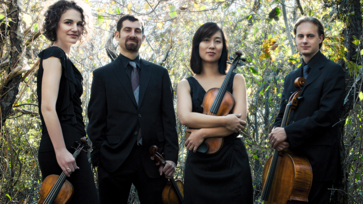Four musicians holding string instruments, standing outdoors among trees, wearing formal black attire.