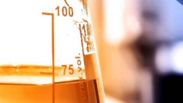 Modeling, Optimization, and Control in Biomedicine