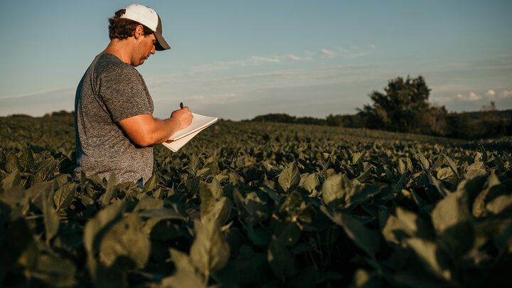 Farmer in Soybean Field