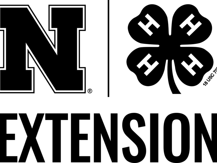 Extension logo