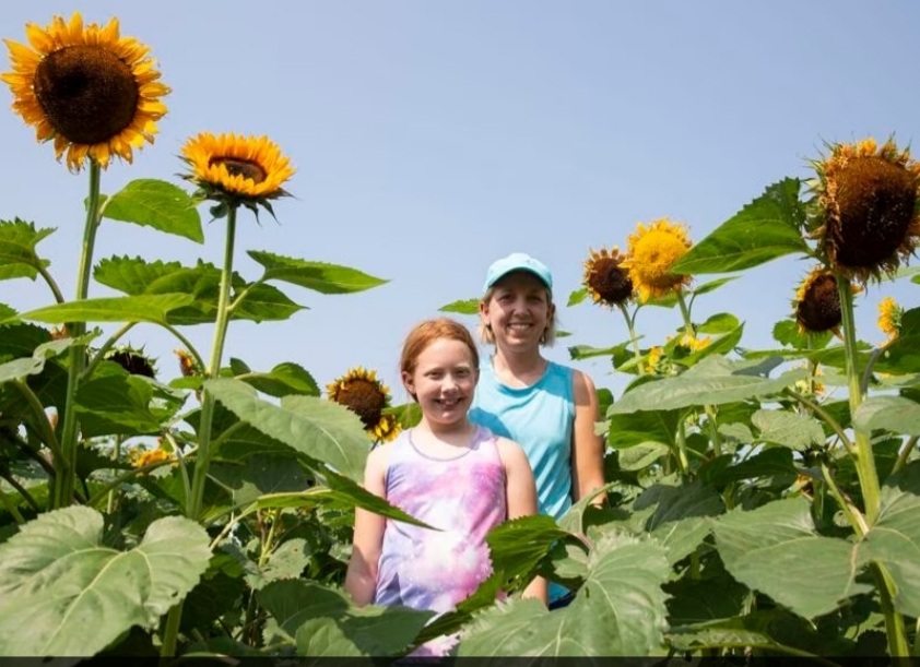 SR Pumpkin and Flower Farm Photo