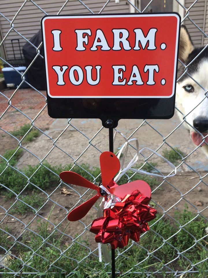 Trackside Farm Photo