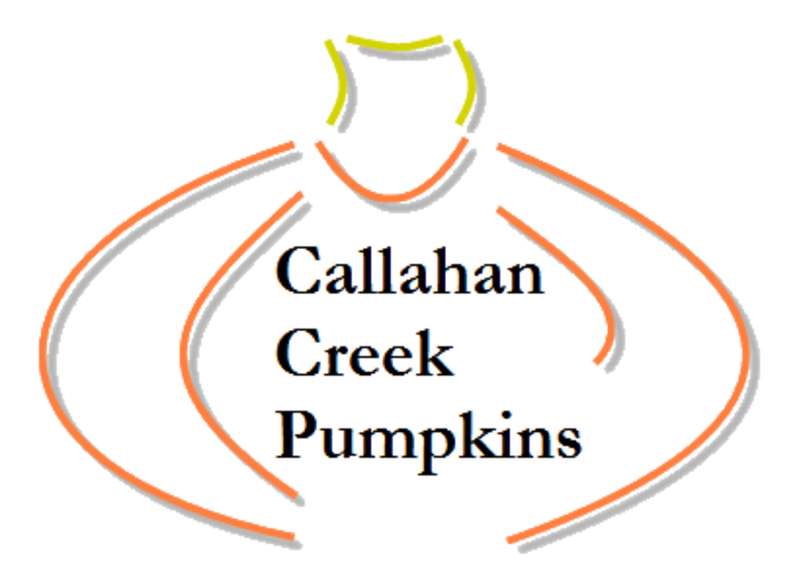 Callahan Creek Pumpkins Photo