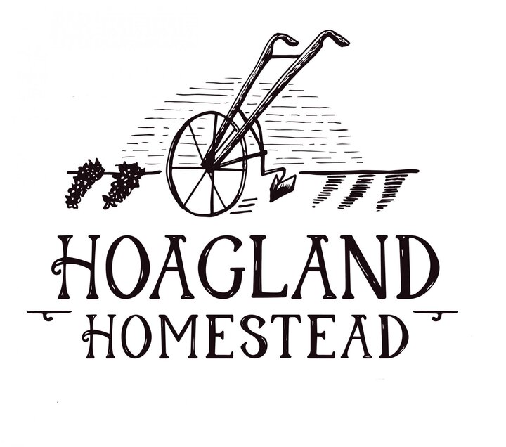 The Hoagland Homestead Photo