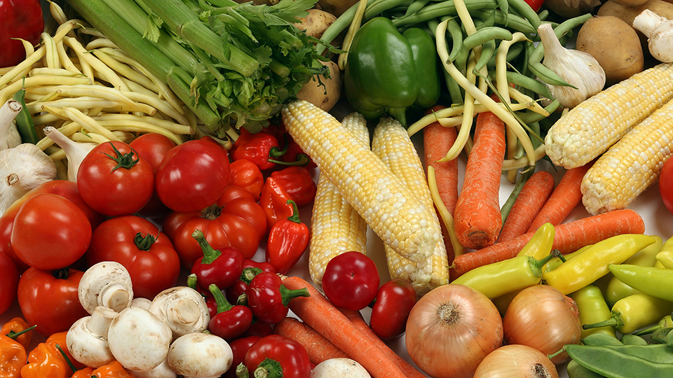 Donate from your Summer Garden Husker Pantry Nebraska