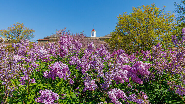Cupola of Love Library with blooming flowers in front