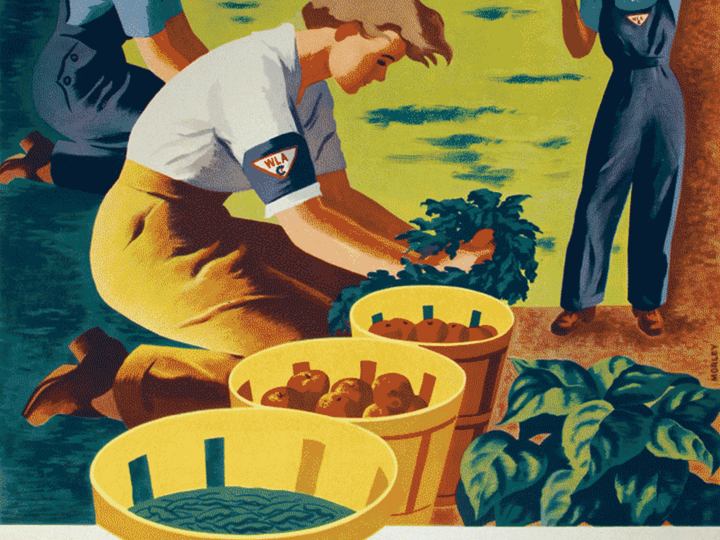 Photo of exhibit poster of women in the army farming